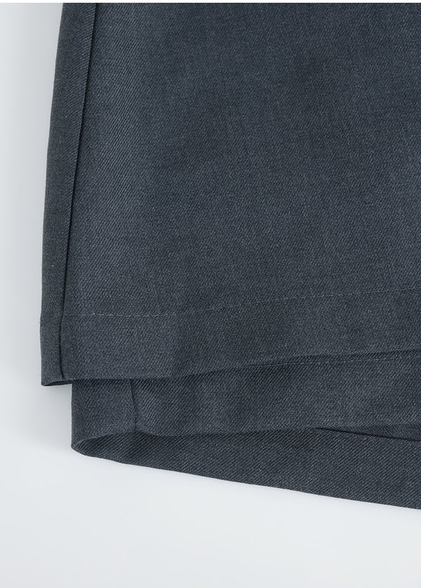 Asher Mini Skirt Shorts