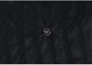 Balletic Lace Blouse