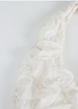 Sylvia crinkle soft hobo Bag
